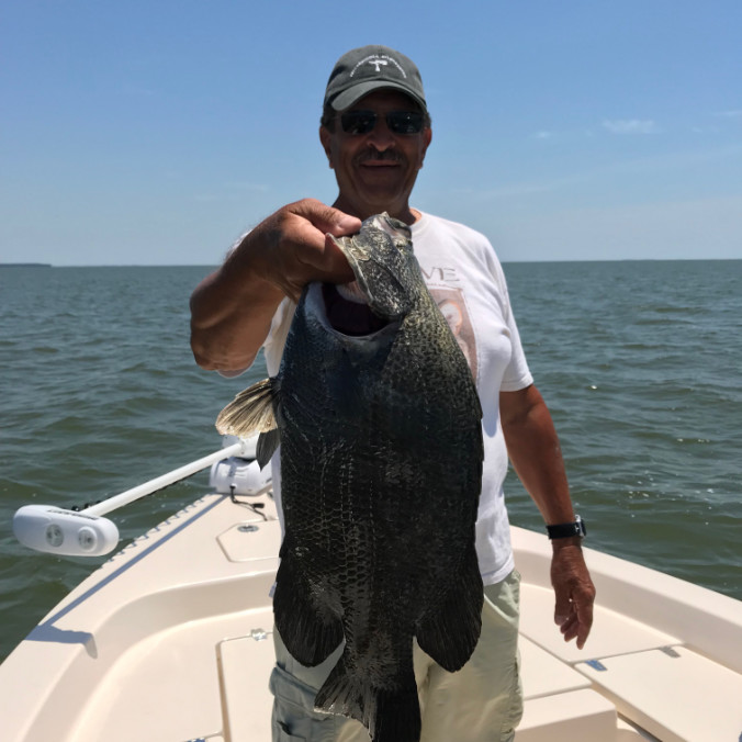 Apalachicola Saltwater Charters Fishing Photos St