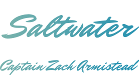 Apalachicola Saltwater Charters - Captain Zach Armistead